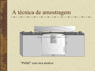 A técnica de amostragem




                            18 cm




   “Pitfall” com isca atrativa
 
