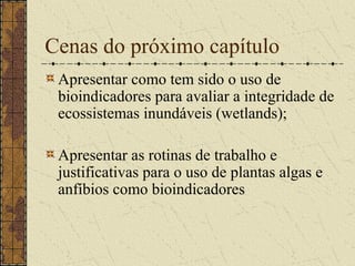 Cenas do próximo capítulo
 Apresentar como tem sido o uso de
 bioindicadores para avaliar a integridade de
 ecossistemas inundáveis (wetlands);

 Apresentar as rotinas de trabalho e
 justificativas para o uso de plantas algas e
 anfíbios como bioindicadores
 