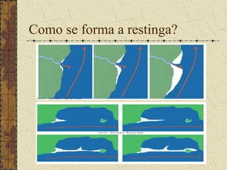 Como se forma a restinga?
 