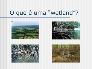 O que é uma “wetland”?
 