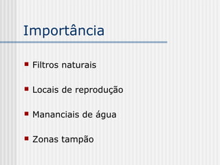 Importância

   Filtros naturais

   Locais de reprodução

   Mananciais de água

   Zonas tampão
 