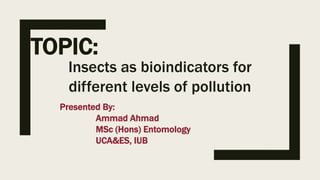TOPIC:
Insects as bioindicators for
different levels of pollution
Presented By:
Ammad Ahmad
MSc (Hons) Entomology
UCA&ES, IUB
 