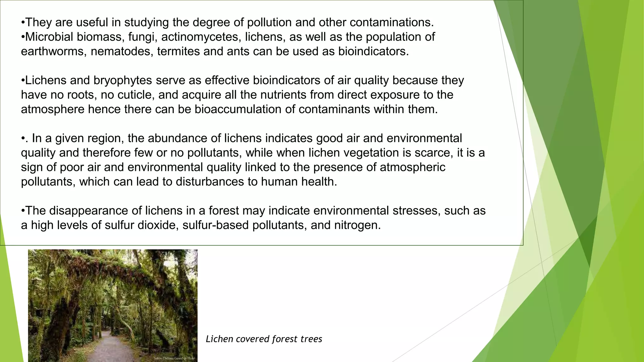•They are useful in studying the degree of pollution and other contaminations.
•Microbial biomass, fungi, actinomycetes, lichens, as well as the population of
earthworms, nematodes, termites and ants can be used as bioindicators.
•Lichens and bryophytes serve as effective bioindicators of air quality because they
have no roots, no cuticle, and acquire all the nutrients from direct exposure to the
atmosphere hence there can be bioaccumulation of contaminants within them.
•. In a given region, the abundance of lichens indicates good air and environmental
quality and therefore few or no pollutants, while when lichen vegetation is scarce, it is a
sign of poor air and environmental quality linked to the presence of atmospheric
pollutants, which can lead to disturbances to human health.
•The disappearance of lichens in a forest may indicate environmental stresses, such as
a high levels of sulfur dioxide, sulfur-based pollutants, and nitrogen.
Lichen covered forest trees
 