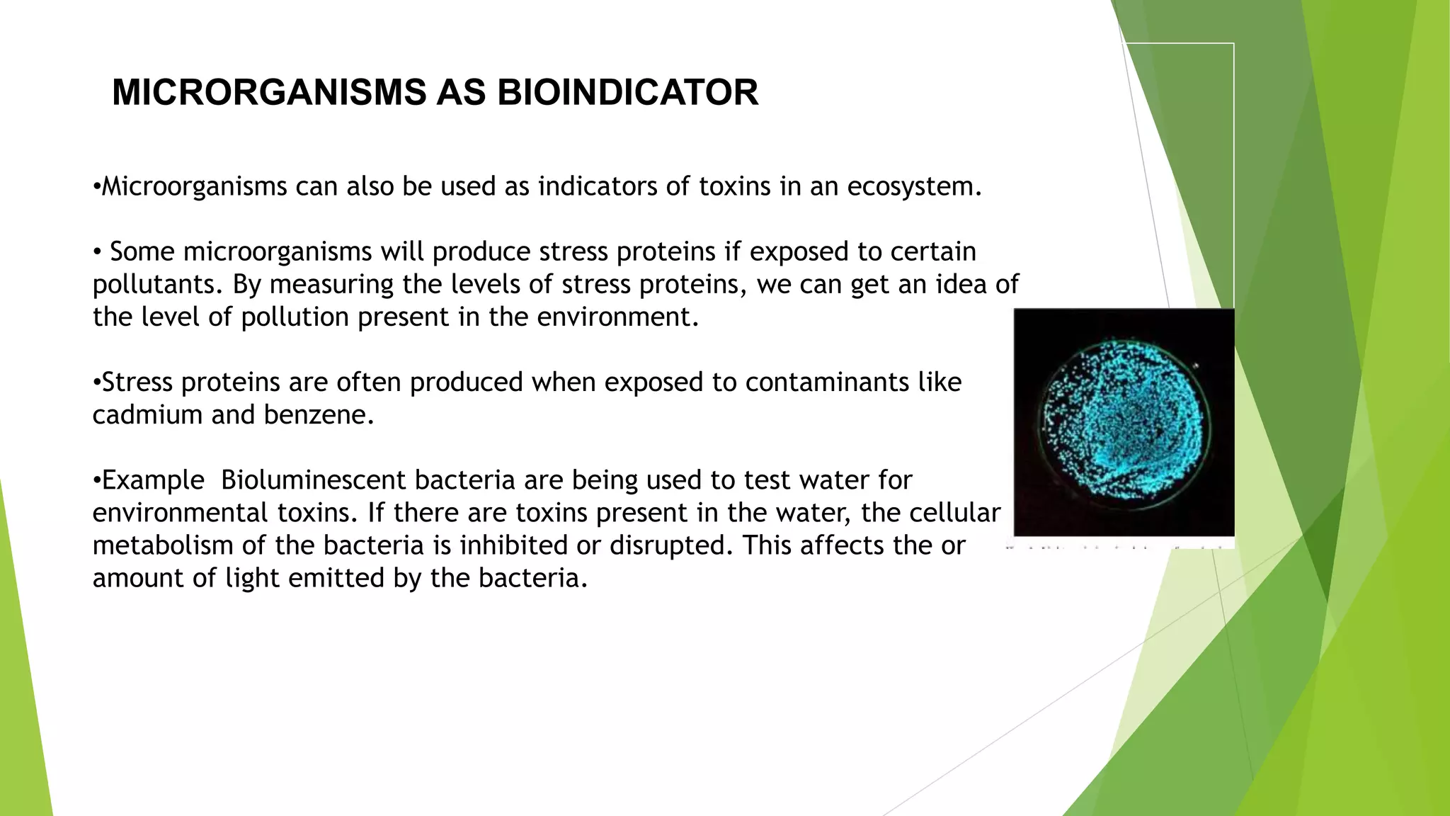 MICRORGANISMS AS BIOINDICATOR
•Microorganisms can also be used as indicators of toxins in an ecosystem.
• Some microorganisms will produce stress proteins if exposed to certain
pollutants. By measuring the levels of stress proteins, we can get an idea of
the level of pollution present in the environment.
•Stress proteins are often produced when exposed to contaminants like
cadmium and benzene.
•Example Bioluminescent bacteria are being used to test water for
environmental toxins. If there are toxins present in the water, the cellular
metabolism of the bacteria is inhibited or disrupted. This affects the or
amount of light emitted by the bacteria.
 