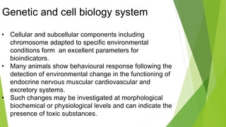 Genetic and cell biology system
• Cellular and subcellular components including
chromosome adapted to specific environmental
conditions form an excellent parameters for
bioindicators.
• Many animals show behavioural response following the
detection of environmental change in the functioning of
endocrine nervous muscular cardiovascular and
excretory systems.
• Such changes may be investigated at morphological
biochemical or physiological levels and can indicate the
presence of toxic substances.
 