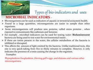 Bioindicators | PPTX