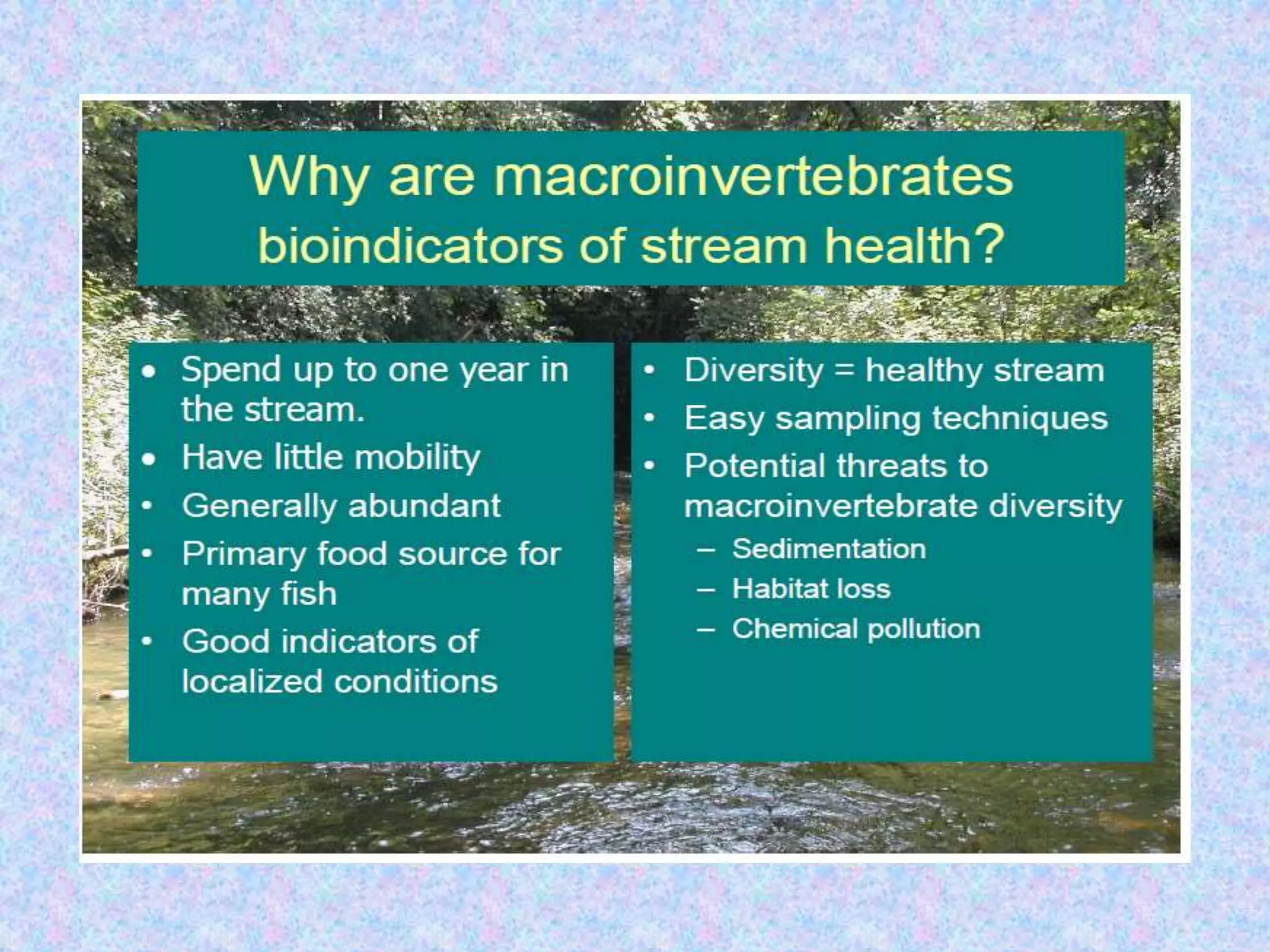 Bioindicators and biomonitors. pptx | PPTX