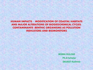 BISMA GULZAR
Ph.D Scholar
SKUAST-Kashmir
HUMAN IMPACTS - MODIFICATION OF COASTAL HABITATS
AND MAJOR ALTERATIONS OF BIOGEOCHEMICAL CYCLES;
CONTAMINANTS ;BENTHIC ORGANISMS AS POLLUTION
INDICATORS AND BIOMONITORS
 