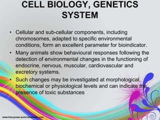 Bioindicators ppt | PPTX
