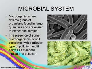Bioindicators ppt | PPTX