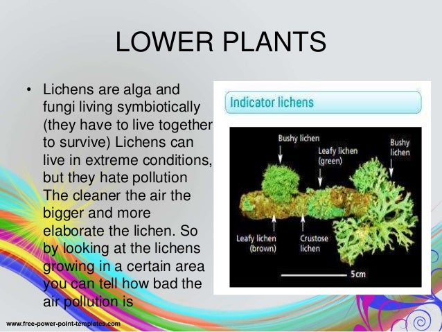 What Can The Ph Of Water In Nature Indicate What Can The Ph Of Water In Nature Indicate