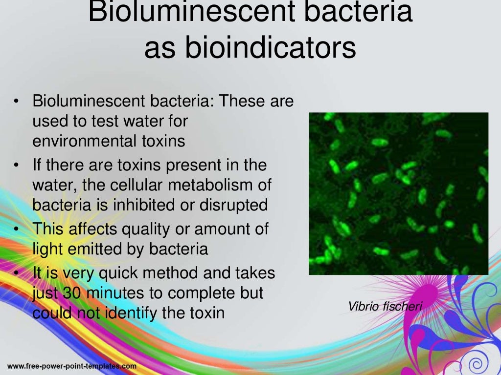 Bioindicators ppt