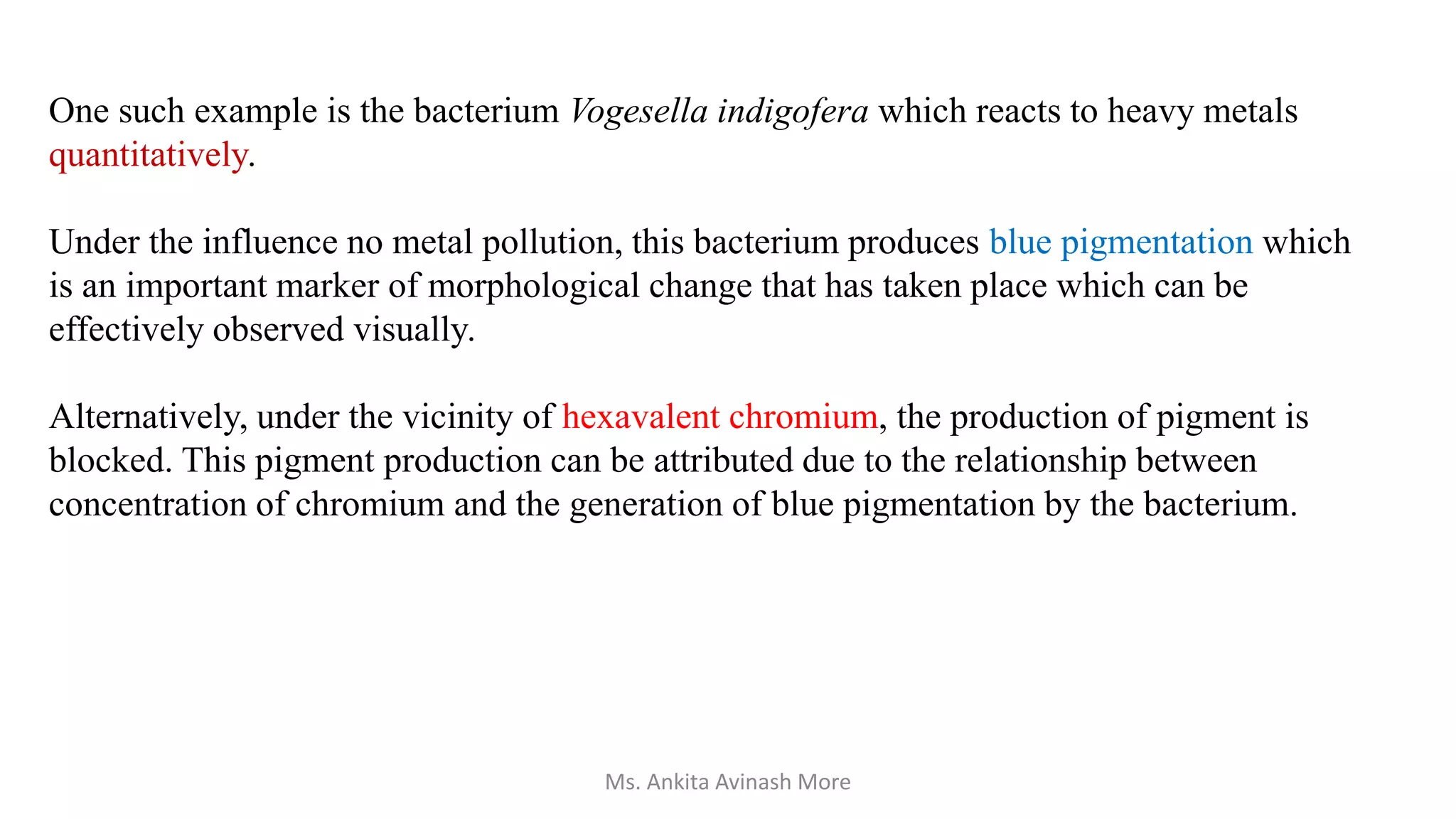 One such example is the bacterium Vogesella indigofera which reacts to heavy metals
quantitatively.
Under the influence no metal pollution, this bacterium produces blue pigmentation which
is an important marker of morphological change that has taken place which can be
effectively observed visually.
Alternatively, under the vicinity of hexavalent chromium, the production of pigment is
blocked. This pigment production can be attributed due to the relationship between
concentration of chromium and the generation of blue pigmentation by the bacterium.
Ms. Ankita Avinash More
 
