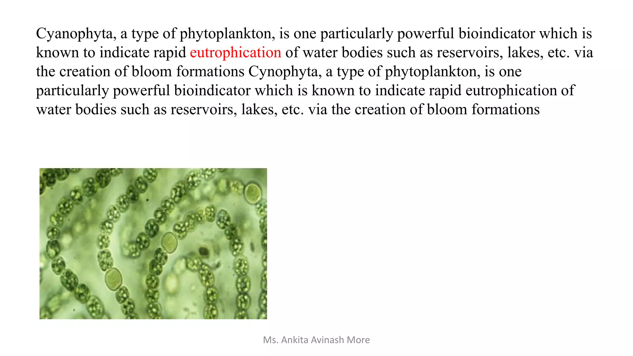 Cyanophyta, a type of phytoplankton, is one particularly powerful bioindicator which is
known to indicate rapid eutrophication of water bodies such as reservoirs, lakes, etc. via
the creation of bloom formations Cynophyta, a type of phytoplankton, is one
particularly powerful bioindicator which is known to indicate rapid eutrophication of
water bodies such as reservoirs, lakes, etc. via the creation of bloom formations
Ms. Ankita Avinash More
 