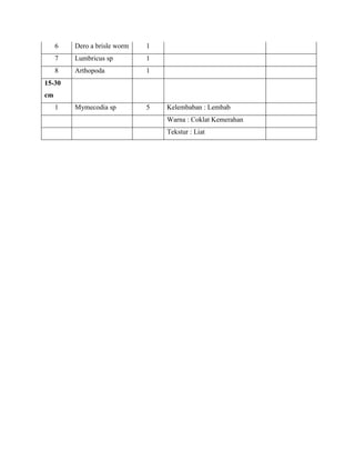 6 Dero a brisle worm 1
7 Lumbricus sp 1
8 Arthopoda 1
15-30
cm
1 Mymecodia sp 5 Kelembaban : Lembab
Warna : Coklat Kemerahan
Tekstur : Liat
 