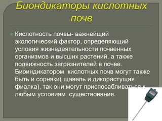  Кислотность почвы- важнейщий
 экологический фактор, определяющий
 условия жизнедеятельности почвенных
 организмов и высших растений, а также
 подвижность загрязнителей в почве.
 Биоиндикатором кислотных почв могут также
 быть и сорняки( щавель и дикорастущая
 фиалка), так они могут приспосабливаться к
 любым условиям существования.
 