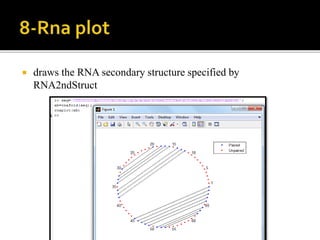  draws the RNA secondary structure specified by
RNA2ndStruct
 