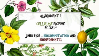 ASSIGNMENT 3
CELLULASE ENZYME
EC 3.2.1.4
SMBB 3723 – BIOCOMPUTATION AND
BIOINFORMATIC
 
