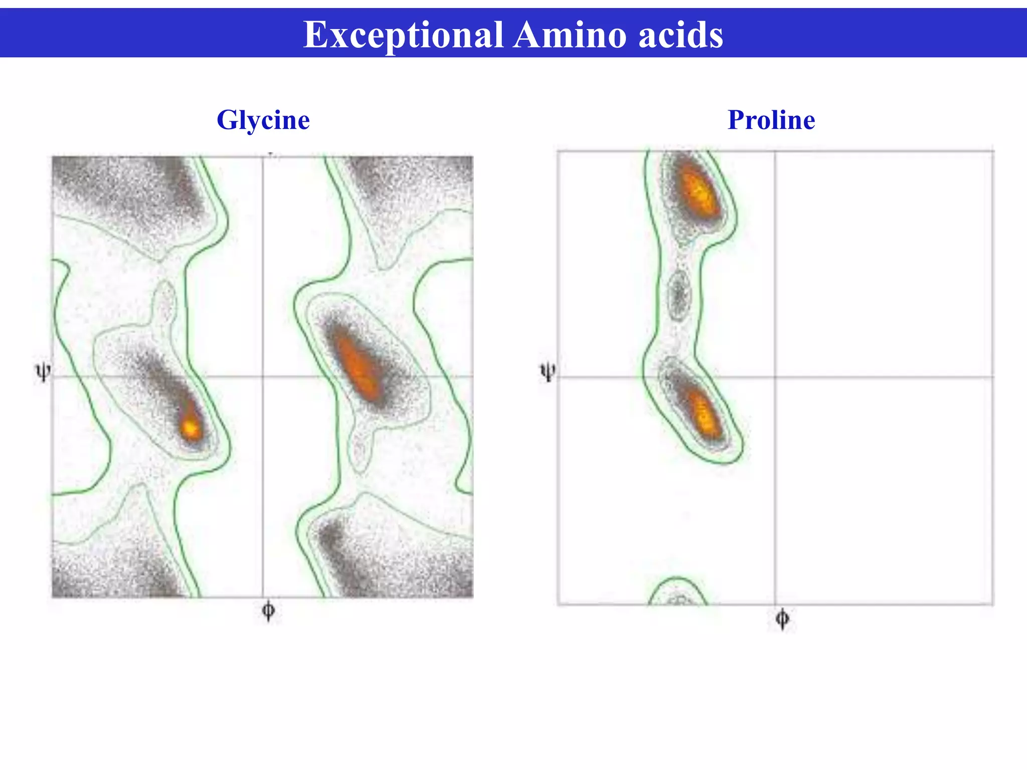 Exceptional Amino acids
Glycine Proline
 
