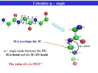 3Cα overlaps the 3C
ψ - angle made between the 3N-
3Cα bond and the 3C-4N bond.
The value of ψ is 155.5 °
Calculate ψ - angle
 