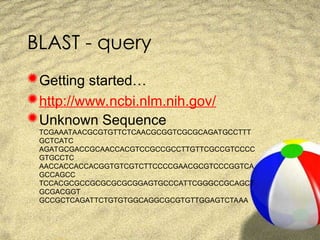 bioinformatics BLAST for msc Biotechnology | PPT