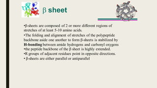  sheet
•β-sheets are composed of 2 or more different regions of
stretches of at least 5-10 amino acids.
•The folding and alignment of stretches of the polypeptide
backbone aside one another to form β-sheets is stabilized by
H-bonding between amide hydrogens and carbonyl oxygens
•the peptide backbone of the β sheet is highly extended.
•R groups of adjacent residues point in opposite directions.
• β-sheets are either parallel or antiparallel
 