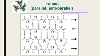 -sheet
(parallel, anti-parallel)
 