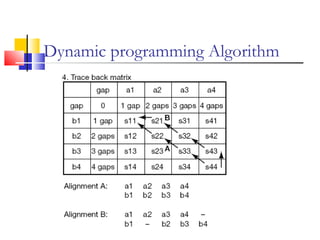 Dynamic programming Algorithm
 