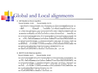 Global and Local alignments
 