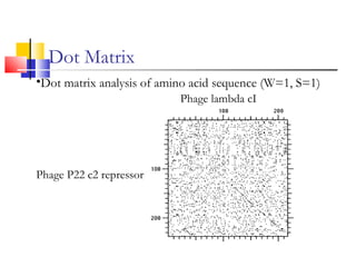 Dot Matrix
•Dot matrix analysis of amino acid sequence (W=1, S=1)
Phage lambda cI
Phage P22 c2 repressor
 