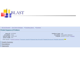 BLAST
 