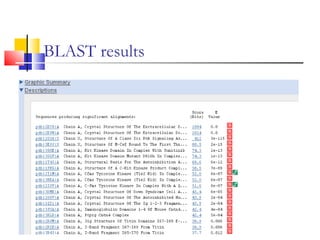 BLAST results
 