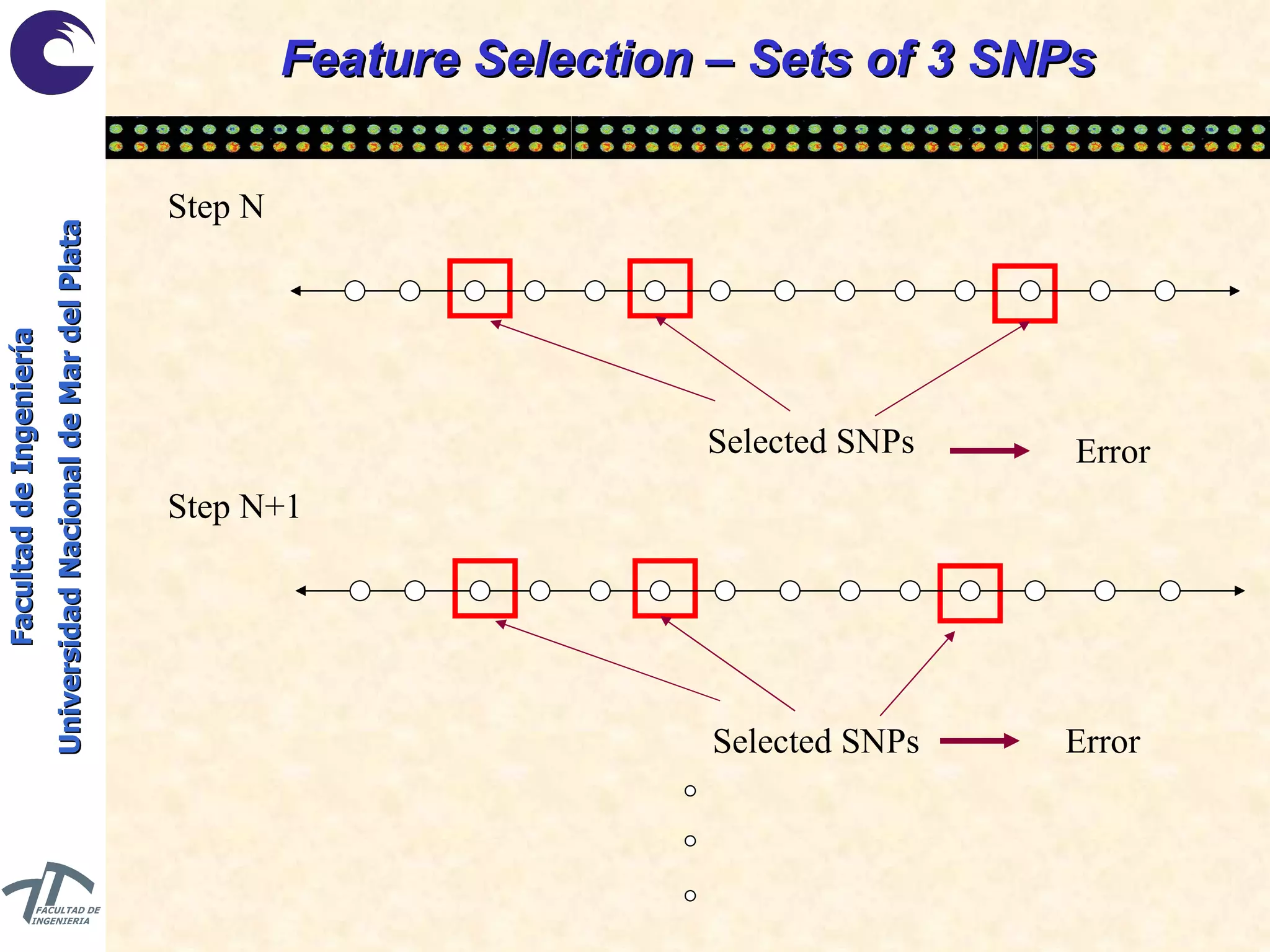 Feature Selection – Sets of 3 SNPs Selected SNPs Selected SNPs Step N Step N+1 Error Error 