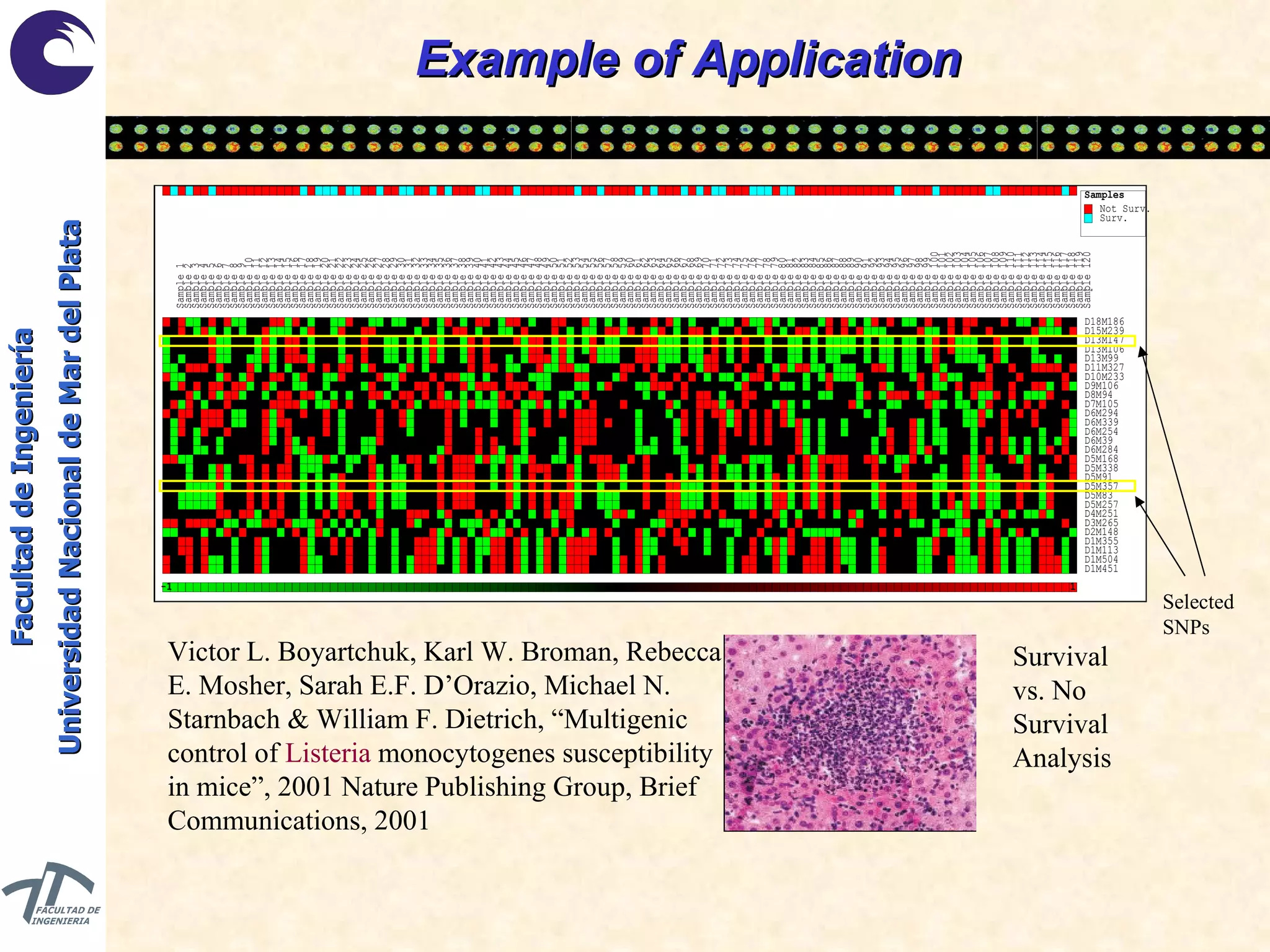 Example of Application Victor L. Boyartchuk, Karl W. Broman, Rebecca E. Mosher, Sarah E.F. D’Orazio, Michael N. Starnbach & William F. Dietrich, “Multigenic control of  Listeria  monocytogenes susceptibility in mice”, 2001 Nature Publishing Group, Brief Communications, 2001 Selected SNPs Survival vs. No Survival Analysis 