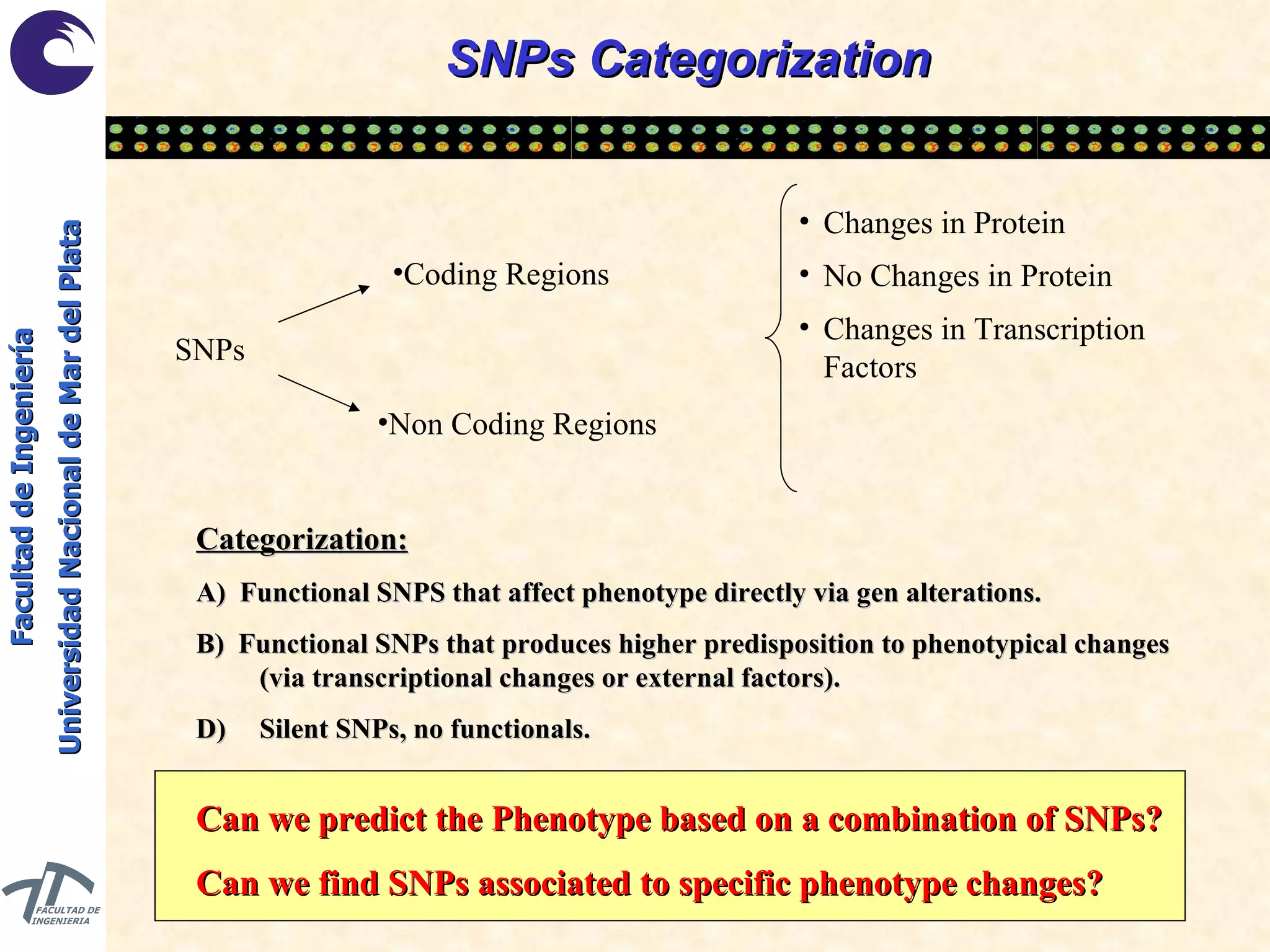 SNPs Categorization Categorization: A)  Functional SNPS that affect phenotype directly via gen alterations. B)  Functional SNPs that produces higher predisposition to phenotypical changes (via transcriptional changes or external factors). Silent SNPs, no functionals. Can we predict the Phenotype based on a combination of SNPs? Can we find SNPs associated to specific phenotype changes? SNPs Coding Regions Non Coding Regions Changes in Protein No Changes in Protein Changes in Transcription Factors 