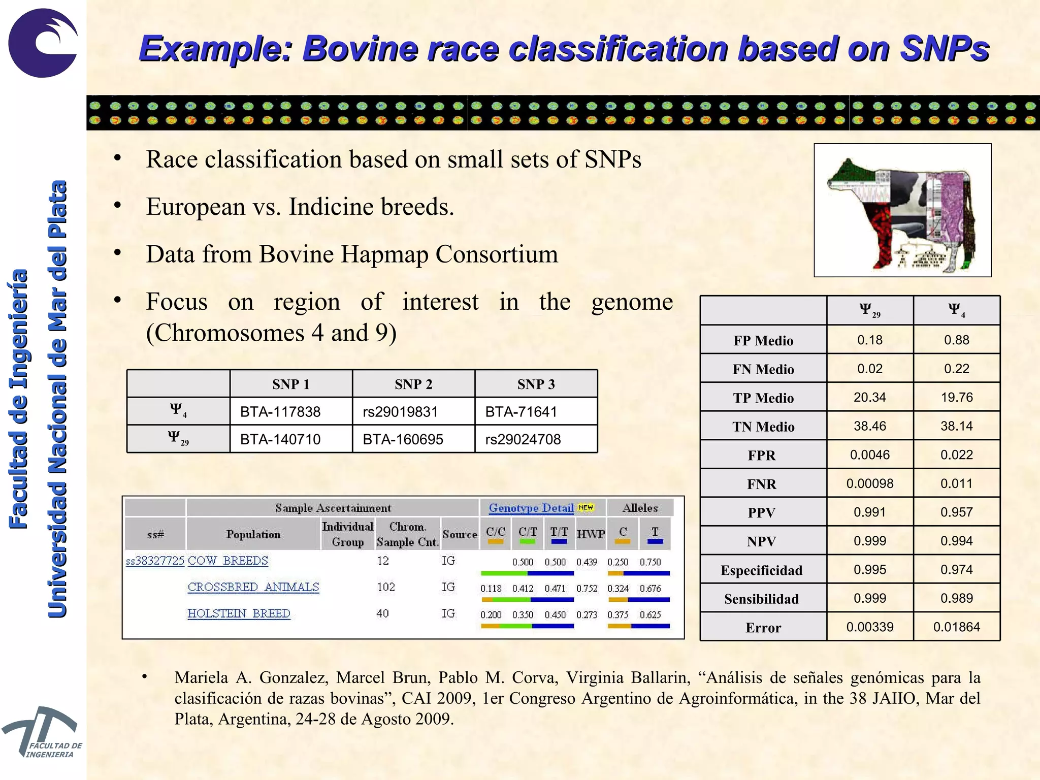 Example: Bovine race classification based on SNPs Race classification based on small sets of SNPs European vs. Indicine breeds. Data from Bovine Hapmap Consortium Focus on region of interest in the genome (Chromosomes 4 and 9) Mariela A. Gonzalez, Marcel Brun, Pablo M. Corva, Virginia Ballarin, “Análisis de señales genómicas para la clasificación de razas bovinas”, CAI 2009, 1er Congreso Argentino de Agroinformática, in the 38 JAIIO, Mar del Plata, Argentina, 24-28 de Agosto 2009. rs29024708 BTA-160695 BTA-140710  29 BTA-71641 rs29019831 BTA-117838  4 SNP 3 SNP 2 SNP 1 0.01864 0.00339 Error 0.989 0.999 Sensibilidad  0.974 0.995 Especificidad  0.994 0.999 NPV  0.957 0.991 PPV  0.011 0.00098 FNR  0.022 0.0046 FPR  38.14 38.46 TN Medio 19.76 20.34 TP Medio 0.22 0.02 FN Medio 0.88 0.18 FP Medio  4  29 