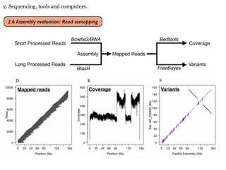 Genome Assembly 2018 | PDF