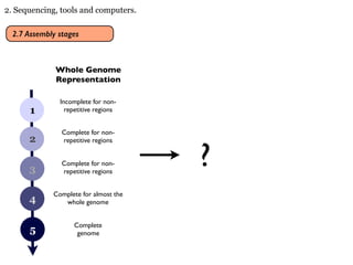 Genome Assembly 2018 | PDF