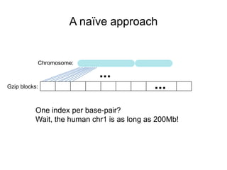 A naïve approach
Chromosome:
...
...
One index per base-pair?
Wait, the human chr1 is as long as 200Mb!
Gzip blocks:
 