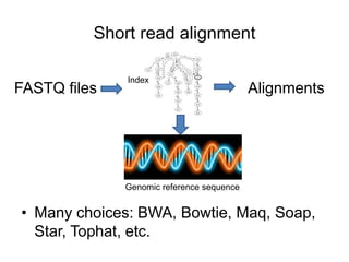Short read alignment 
Index 
FASTQ files Alignments 
Genomic reference sequence 
• Many choices: BWA, Bowtie, Maq, Soap, 
Star, Tophat, etc. 
 