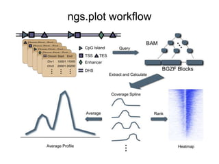 ngs.plot workflow 
 