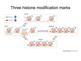 Three histone modification marks 
 