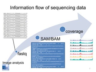 Information flow of sequencing data 
fastq 
SAM/BAM 
coverage 
HISEQ2:197:D08GUACXX:8:2105:21056:104282 0 chr10 
3000101 255 51M * 0 0 
AAGGTCACCAAAGGCCCACCTTGTCTTTACCTTATTTGTTCTA 
AATTTTTT 
=@@DA:ADDHD;AA?:AAFHGIHHBDEFHIDGB9CFH<?F<DEEIG 
GHEII XA:i:0 MD:Z:51 NM:i:0 
HISEQ2:197:D08GUACXX:6:1105:9303:81340 0 chr10 
3000301 255 51M * 0 0 
GTGTTATTTCACAAGGTGAAGATAGAGCTTGGTGGCTGCCAG 
AGAGATTAA 
BB@FFFFFHHHHHJJJFGIJIIJJJJJJIJJJHIJJJIIJJJJIGIGIJII 
XA:i:0 MD:Z:51 NM:i:0 
HISEQ2:197:D08GUACXX:7:2102:2396:174630 16 chr10 
3000373 255 51M * 0 0 
CTGAATCTTCTCCTAAGTATCATCCTGAAGAACAAAATTCCTCT 
TTTGCTT 
JJIJJJJJJJJJJJJJJJIIJJJJJIJJJJJHJJJJJJHHHHHFFFFFCCC 
XA:i:0 MD:Z:51 NM:i:0 
HISEQ2:197:D08GUACXX:8:2108:12162:127556 0 chr10 
3000388 255 51M * 0 0 
AGTATCATCCTGAAGAACAAAATTCCTCTTTTGCTTAAAATTCA 
CTGGGGA 
@@?DDFFDBHFFGJIIGIGGGGGIJGHHIHIIGEGIIIIIJJJIIJIGGGG 
7 
Image analysis 
 