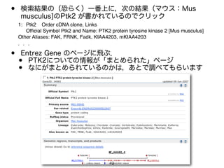 bioinfolec_1st_20070615