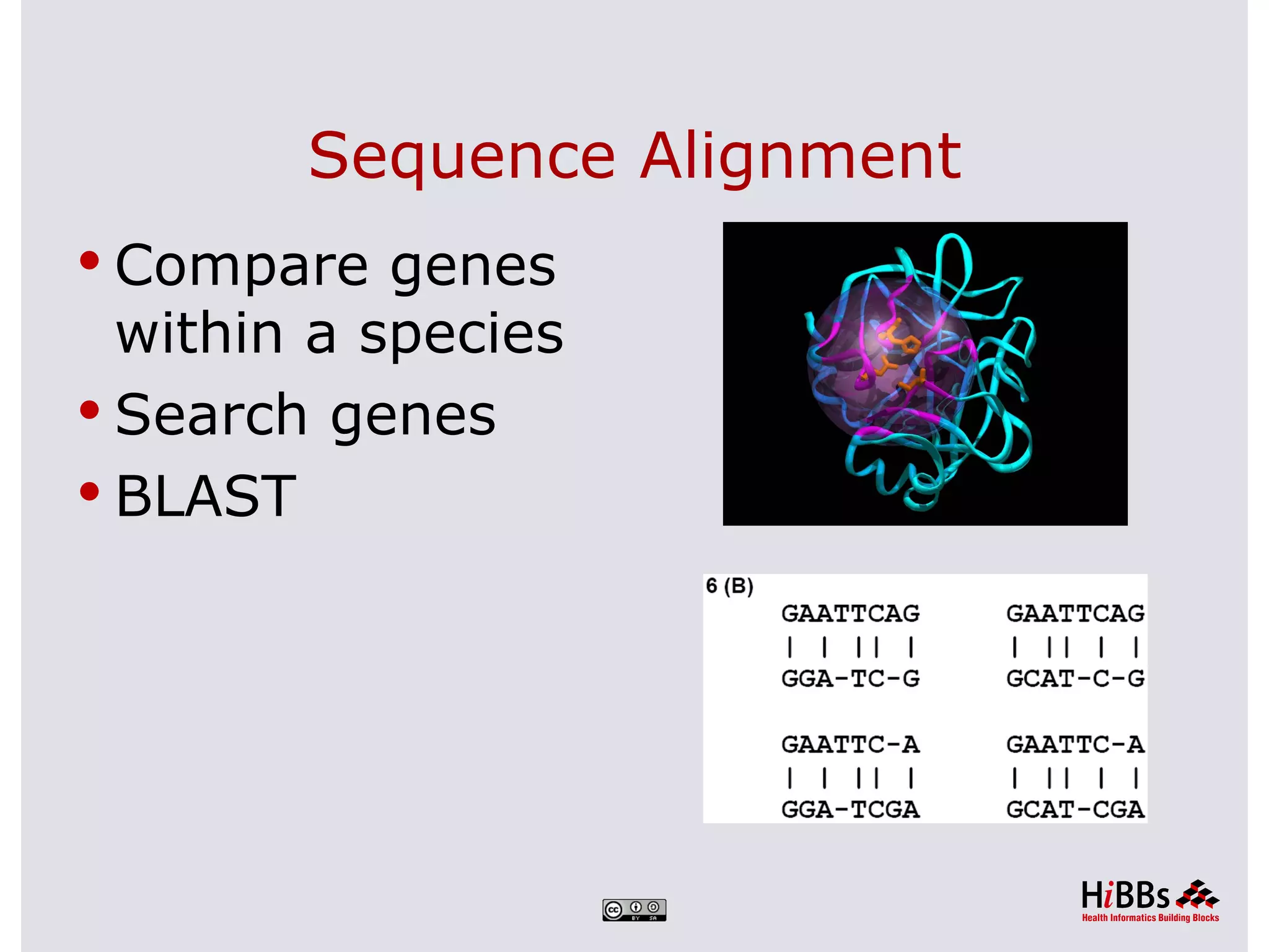 Sequence Alignment
 Compare genes
  within a species
 Search genes
 BLAST
 