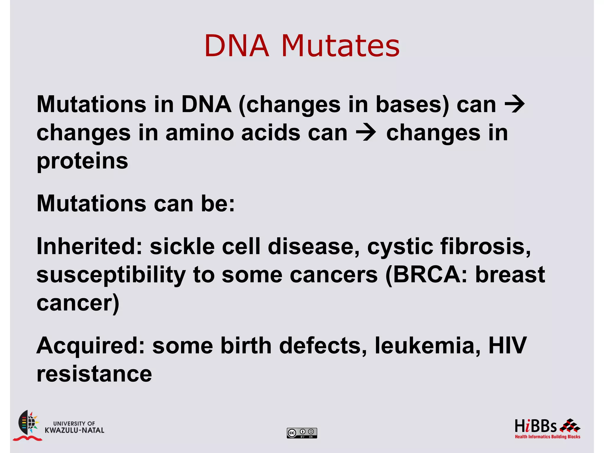 DNA Mutates
Mutations in DNA (changes in bases) can 
changes in amino acids can  changes in
proteins
Mutations can be:
Inherited: sickle cell disease, cystic fibrosis,
susceptibility to some cancers (BRCA: breast
cancer)
Acquired: some birth defects, leukemia, HIV
resistance
 