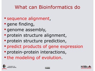 What can Bioinformatics do

 sequence alignment,
 gene finding,
 genome assembly,
 protein structure alignment,
 protein structure prediction,
 predict products of gene expression
 protein-protein interactions,
 the modeling of evolution.
 