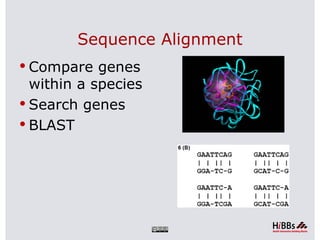 Sequence Alignment
 Compare genes
  within a species
 Search genes
 BLAST
 