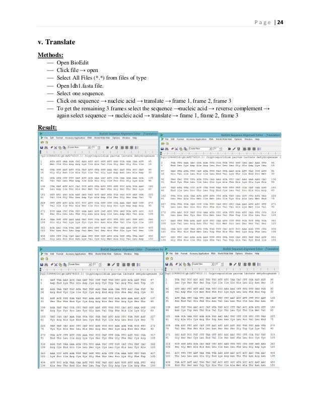 how to reverse sequences in bioedit