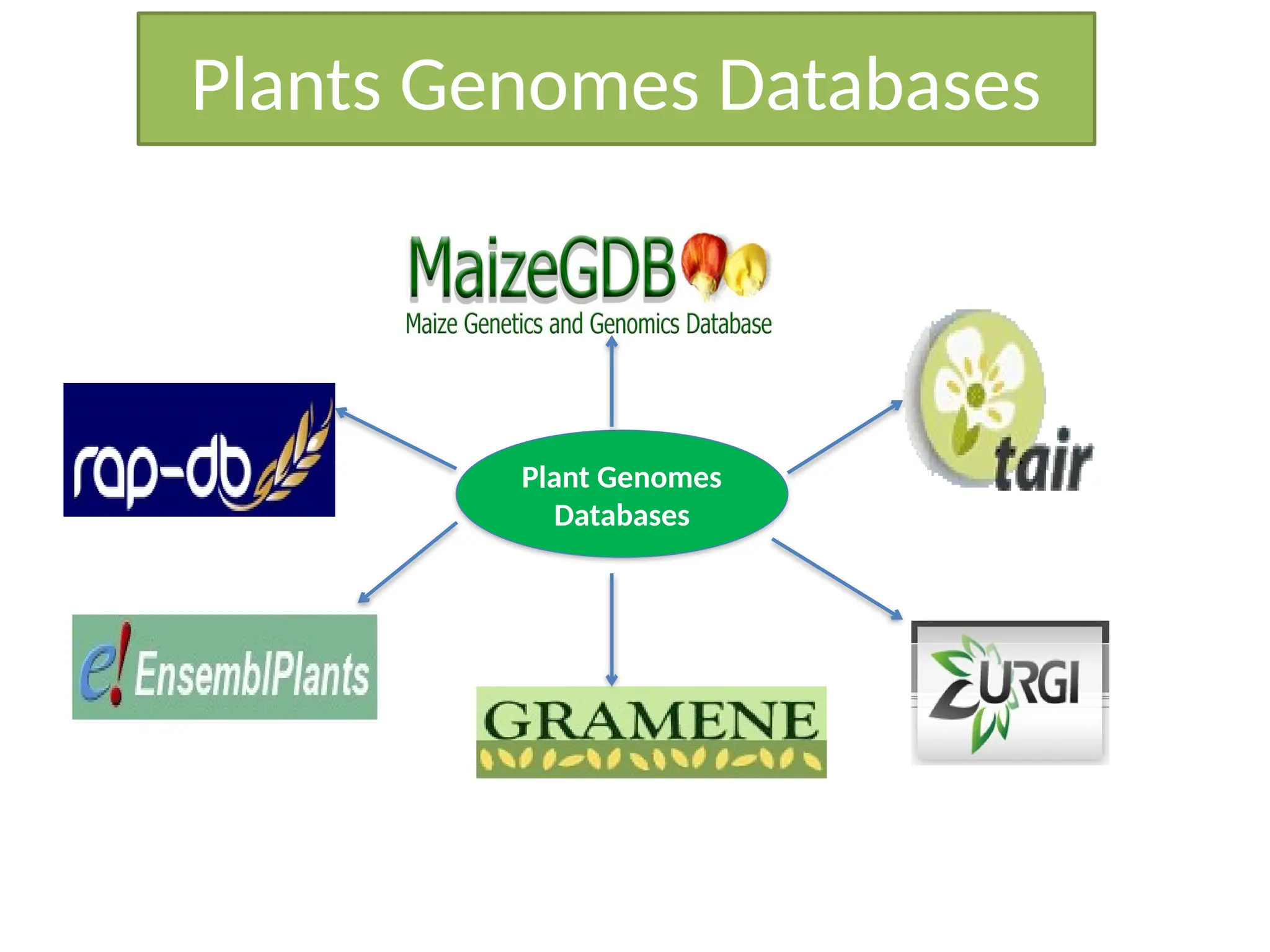 Plants Genomes Databases
Plant Genomes
Databases
 
